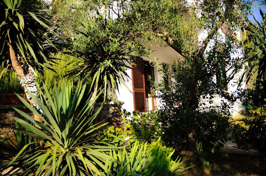 Apartments Adrialuka Dubrava  Exterior photo